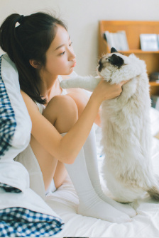至上之法
